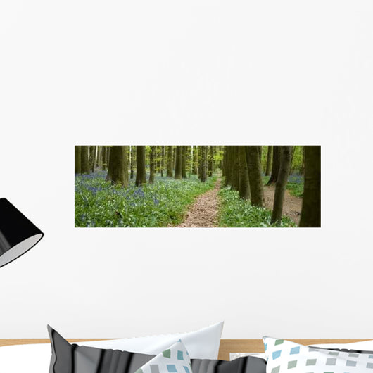 Chemin Dans La Foret Wall Decal