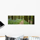 Chemin Dans La Foret Wall Decal