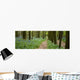 Chemin Dans La Foret Wall Decal