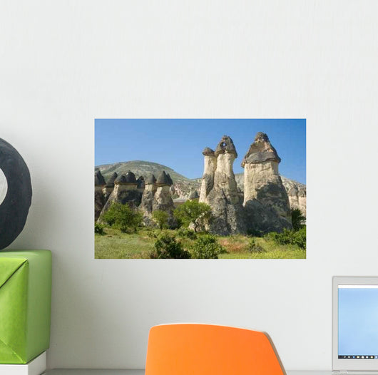 Famous Wind Eroded Rock Wall Decal