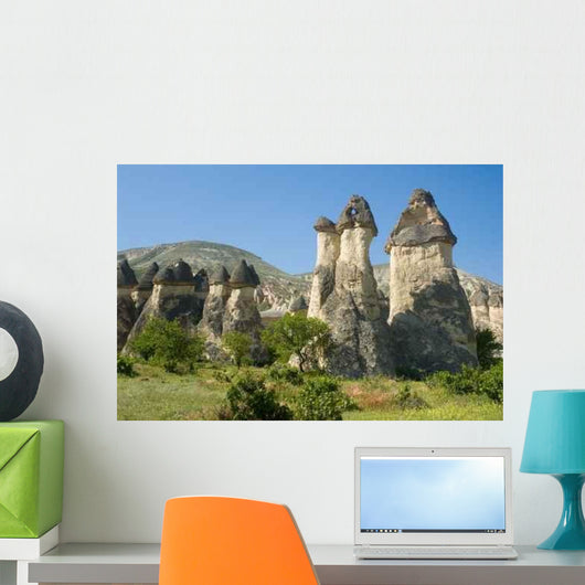 Famous Wind Eroded Rock Wall Decal