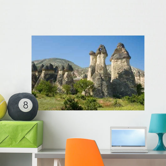 Famous Wind Eroded Rock Wall Decal