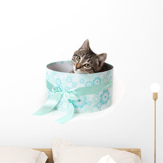 Striped Kitten with Yellow Wall Decal