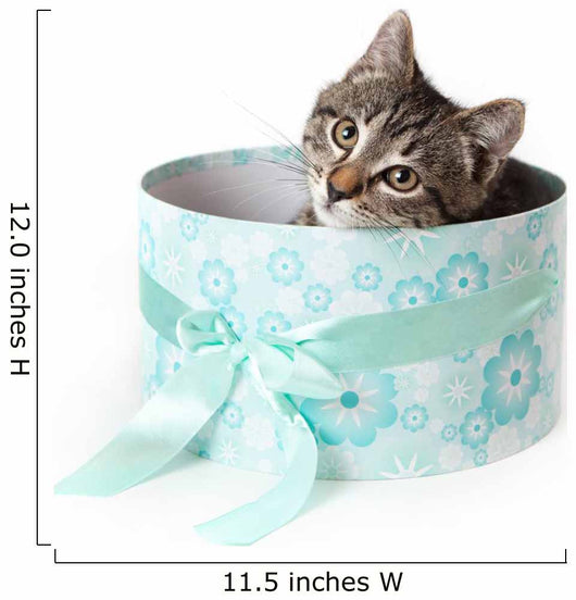 Striped Kitten with Yellow Wall Decal