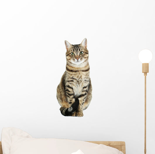 Beautiful Cat White Wall Decal