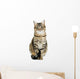 Beautiful Cat White Wall Decal