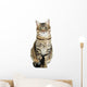 Beautiful Cat White Wall Decal