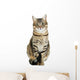 Beautiful Cat White Wall Decal