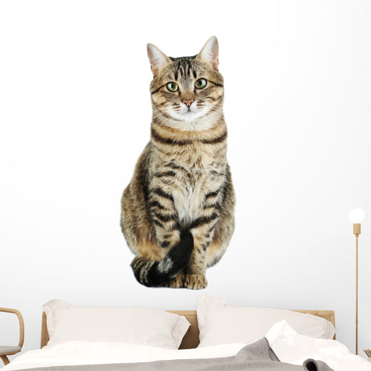 Beautiful Cat White Wall Decal