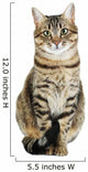 Beautiful Cat White Wall Decal