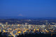 Portland Aerial Wall Decal