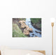 Africa Tanzania Serengeti National Wall Decal
