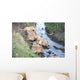 Africa Tanzania Serengeti National Wall Decal
