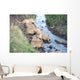 Africa Tanzania Serengeti National Wall Decal