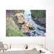 Africa Tanzania Serengeti National Wall Decal