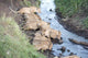 Africa Tanzania Serengeti National Wall Decal