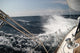 High Seas Wall Decal
