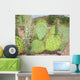 Cactus Opuntia Genus Wall Decal