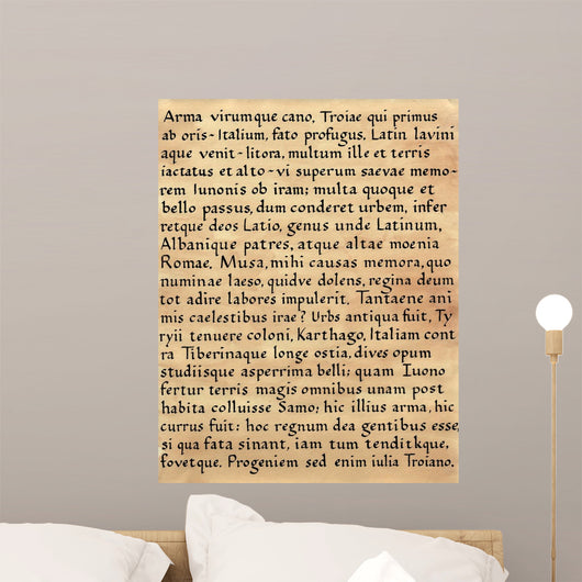 Latin Calligraphy from Virgil's Wall Decal