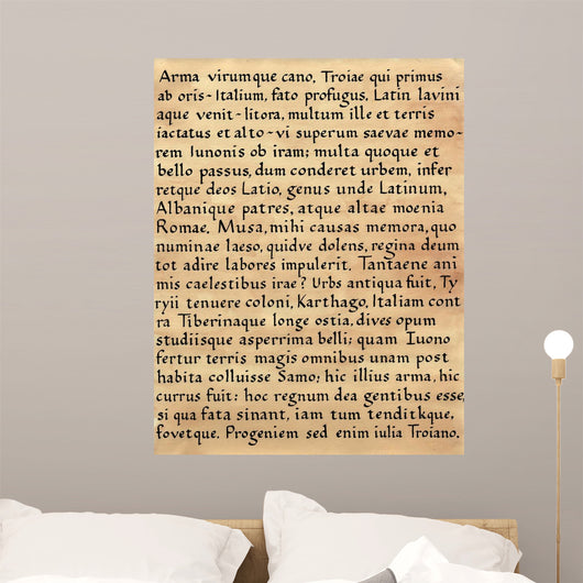 Latin Calligraphy from Virgil's Wall Decal