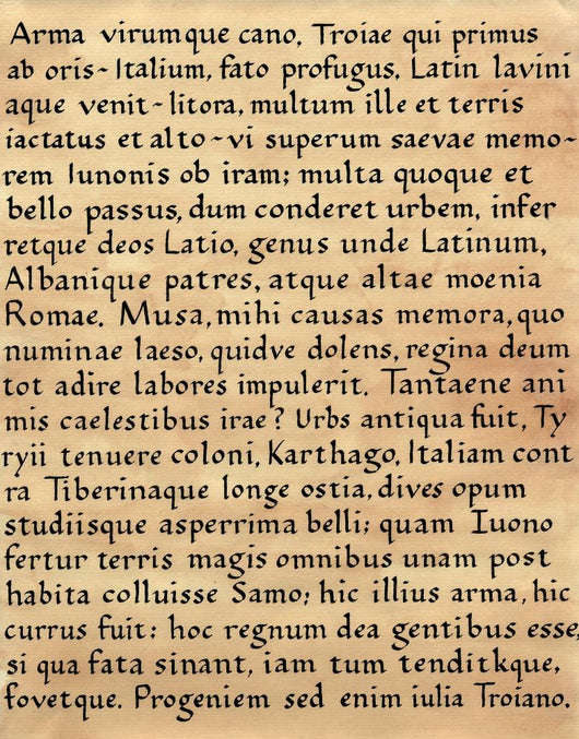 Latin Calligraphy from Virgil's Wall Decal