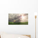 Rays Wall Decal