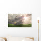 Rays Wall Decal
