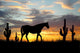 Western Desert Horse Wall Decal