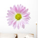Pink White Daisy Flower Wall Decal
