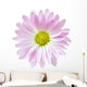 Pink White Daisy Flower Wall Decal