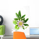 Passion Flower Wall Decal