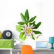 Passion Flower Wall Decal