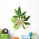 Passion Flower Wall Decal