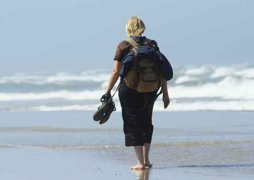 Walking Beach Wall Decal