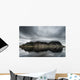 Stokksnes Wall Decal