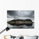 Stokksnes Wall Decal
