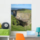 Orkney Wall Decal