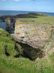 Orkney Wall Decal
