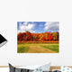 Burst Autumn Colors Wall Decal