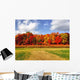 Burst Autumn Colors Wall Decal
