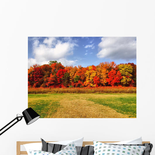 Burst Autumn Colors Wall Decal