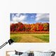 Burst Autumn Colors Wall Decal