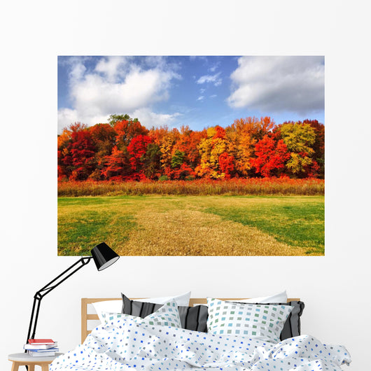 Burst Autumn Colors Wall Decal