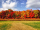 Burst Autumn Colors Wall Decal