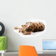 Bengal Cat White Wall Decal