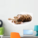 Bengal Cat White Wall Decal