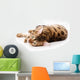 Bengal Cat White Wall Decal