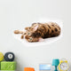 Bengal Cat White Wall Decal