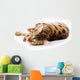 Bengal Cat White Wall Decal