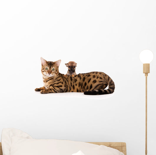 Bengal Cat and Chihuahua Wall Decal